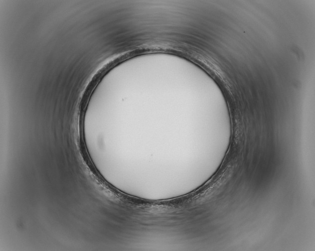 X0000111380984200908071231