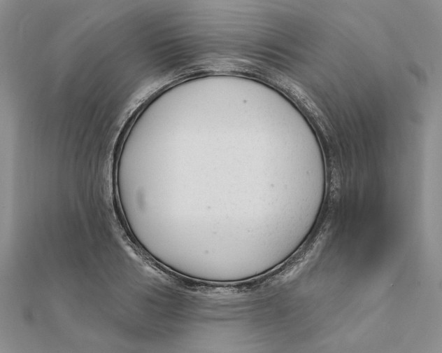 X0000111380986200908071231