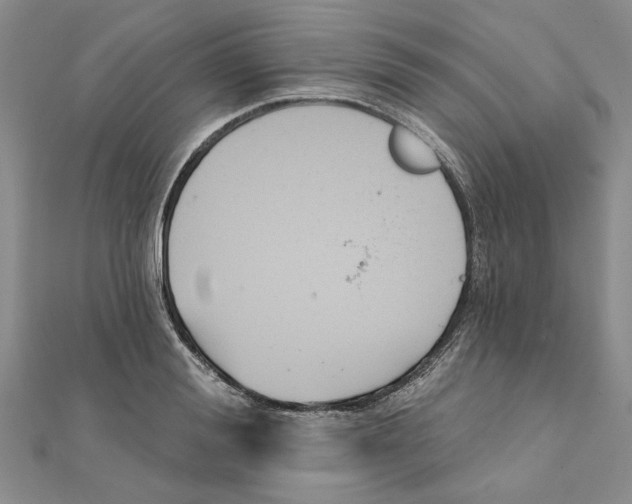 X0000111380988200908071231