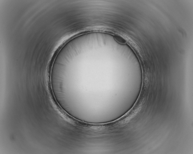 X0000111380989200908071231