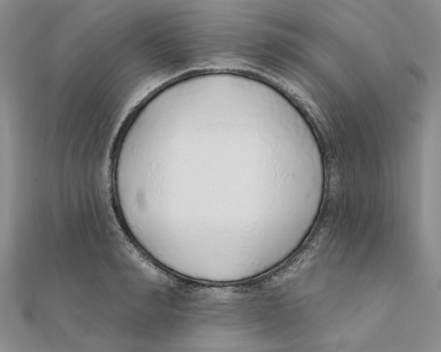 X0000111380990200908071231