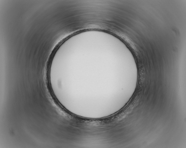 X0000111380991200908071231