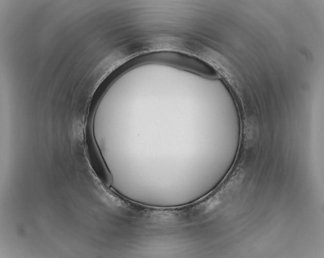 X0000111380993200908071231