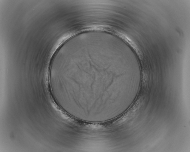 X0000111380994200908071231