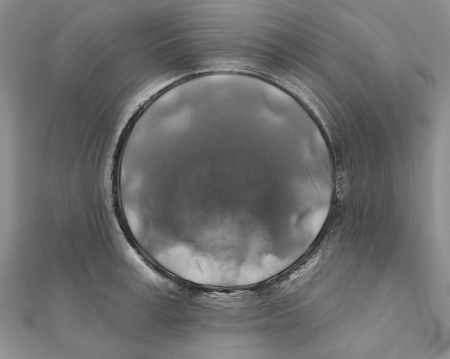 X0000111380995200908071231