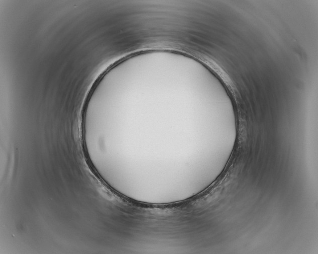 X0000111380996200908071231