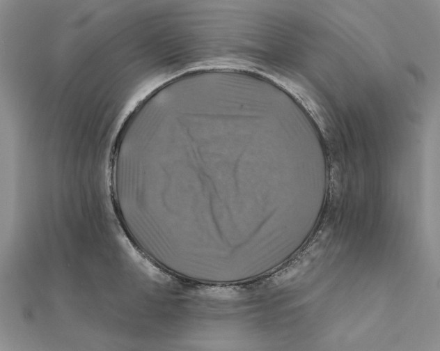 X0000111380998200908071231