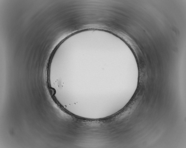 X0000111380999200908071231