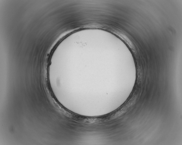 X0000111381000200908071231