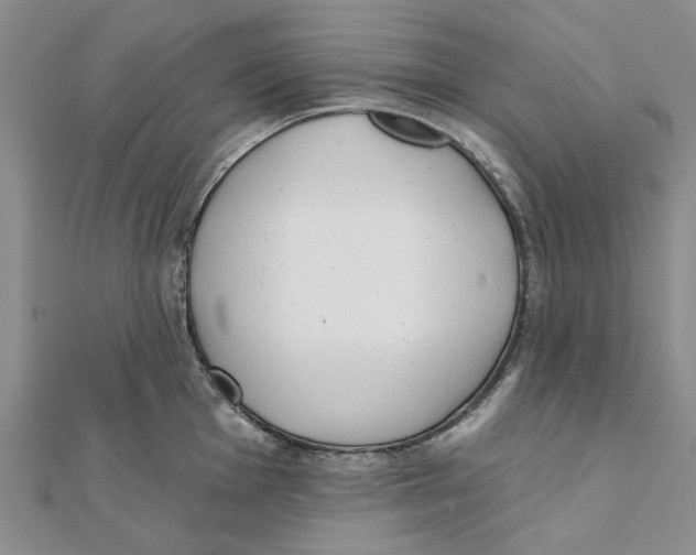 X0000111381001200908071231