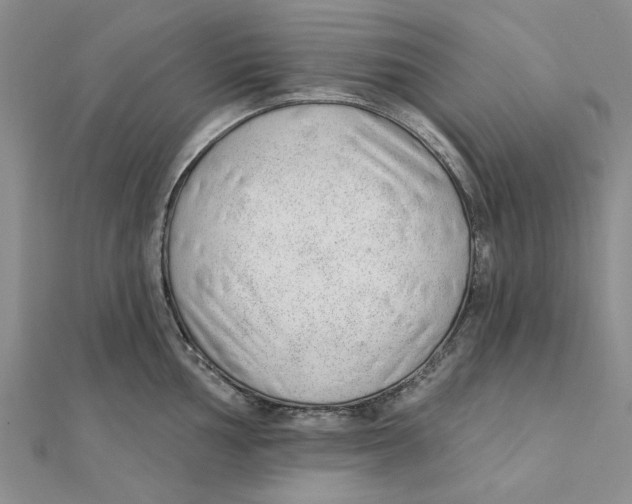 X0000111381002200908071231