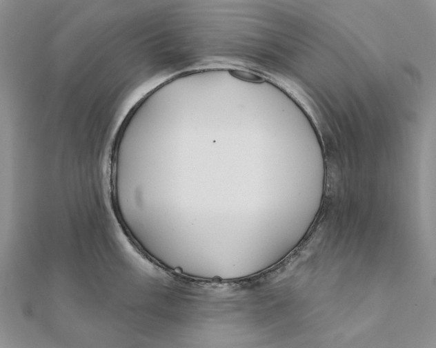 X0000111381003200908071231