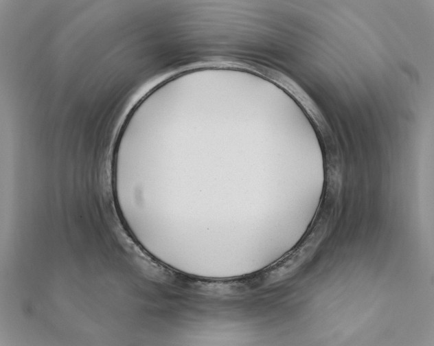 X0000111381004200908071231