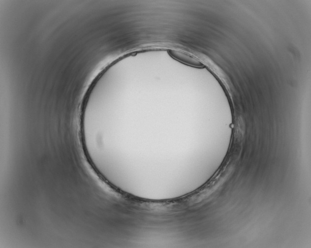 X0000111381005200908071231