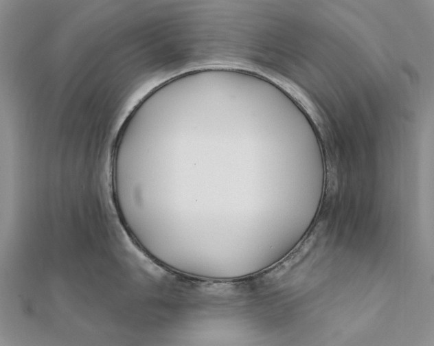 X0000111381006200908071231