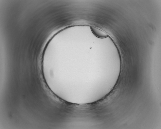 X0000111381008200908071231