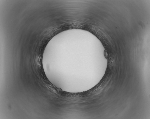 X0000111381010200908071230