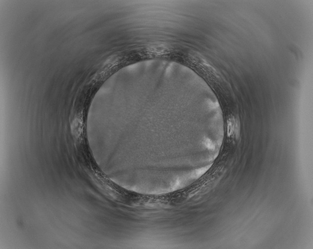 X0000111381011200908071230