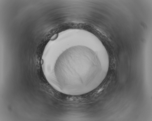 X0000111381013200908071230