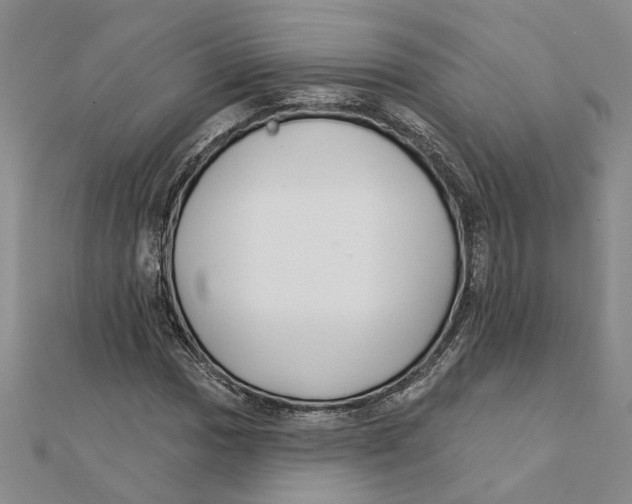 X0000111381017200908071230