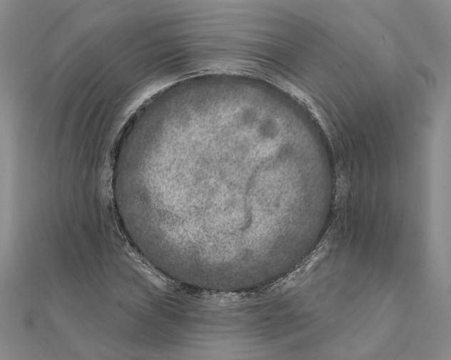 X0000111381019200908071230