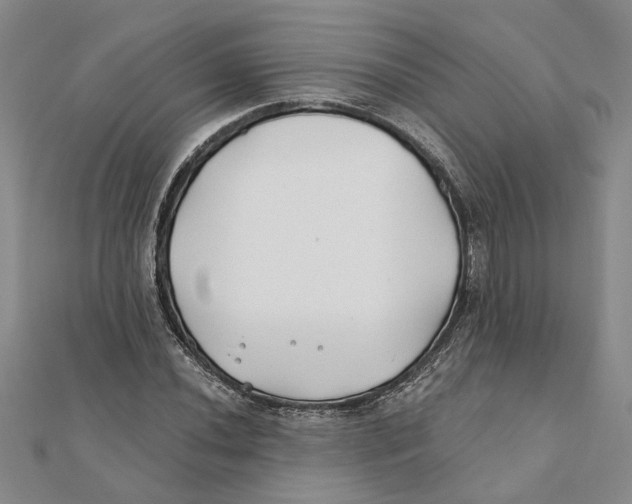 X0000111381020200908071230