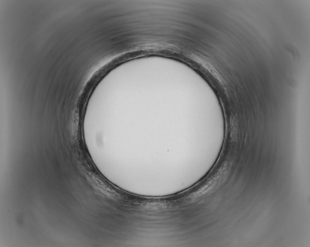 X0000111381021200908071230