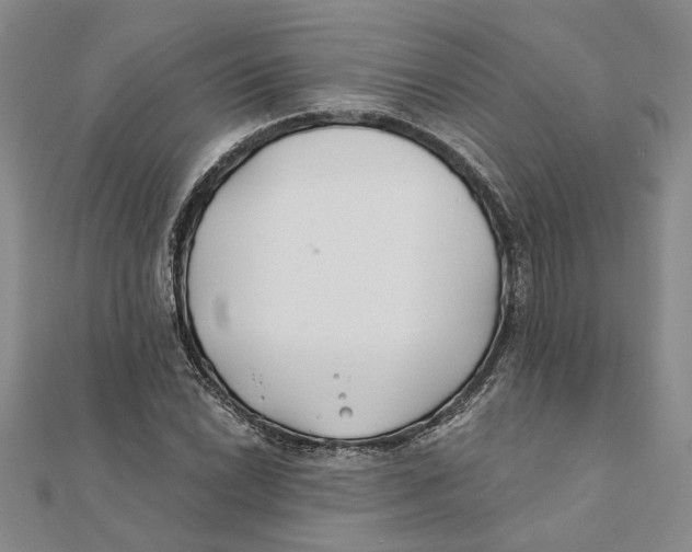 X0000111381022200908071230