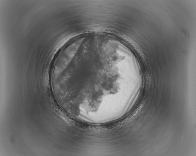 X0000111381023200908071230