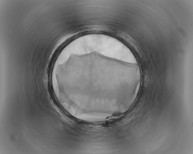 X0000111381024200908071230