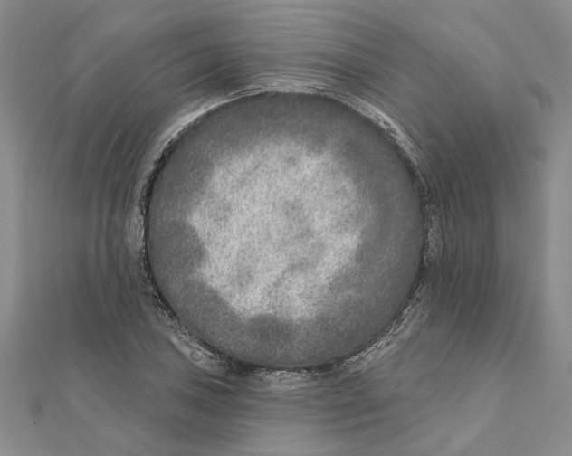 X0000111381027200908071230