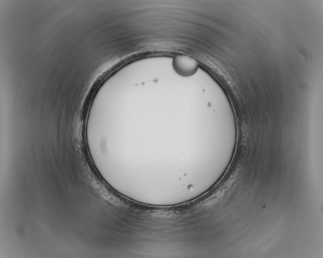 X0000111381029200908071231