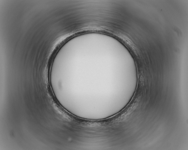 X0000111381030200908071231