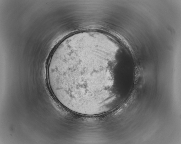 X0000111381031200908071231