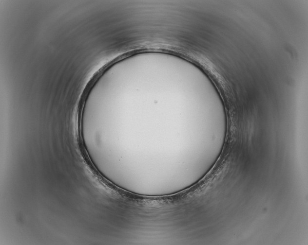 X0000111381032200908071231