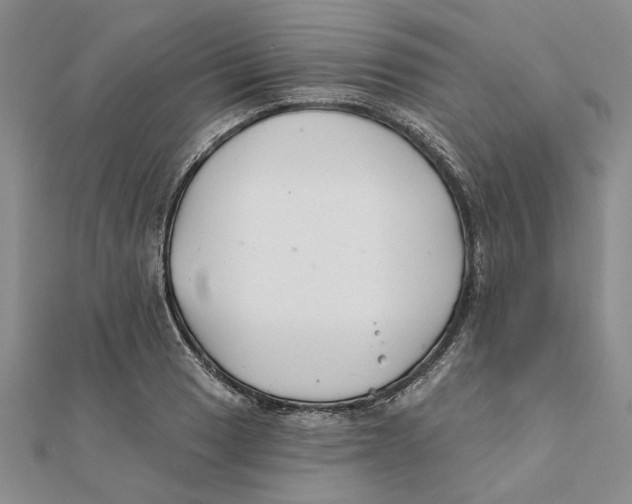 X0000111381033200908071231