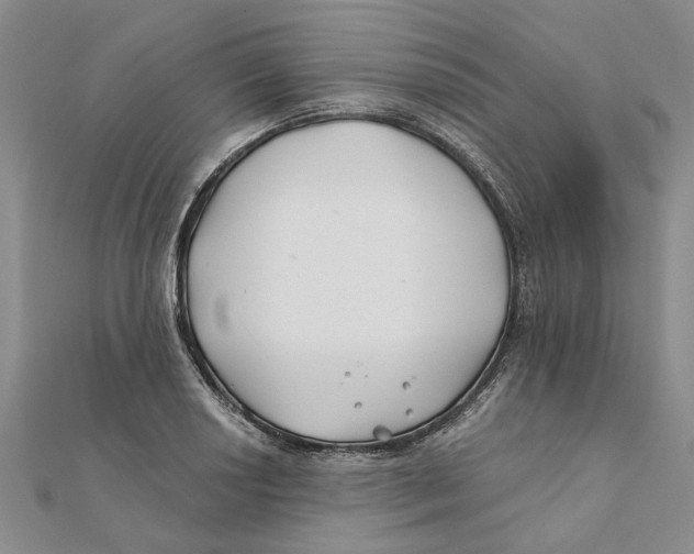 X0000111381034200908071231