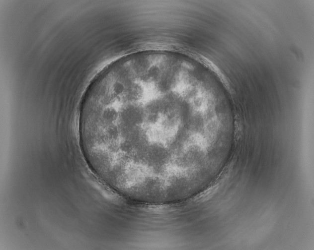 X0000111381035200908071231