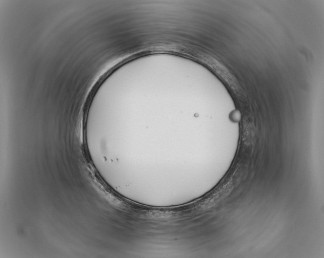 X0000111381036200908071231