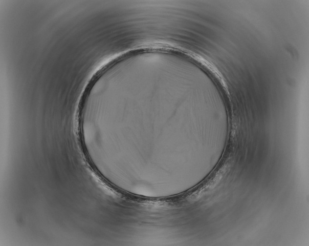 X0000111381037200908071231