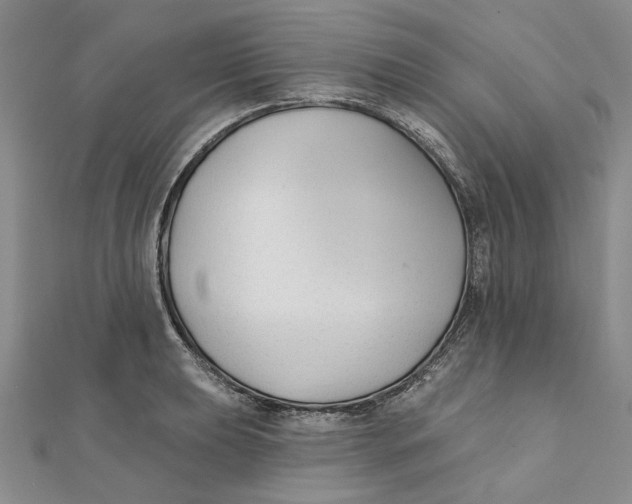 X0000111381039200908071231