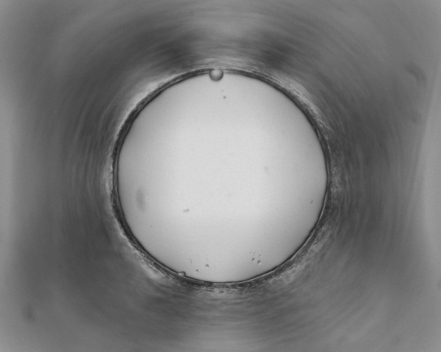 X0000111381040200908071231