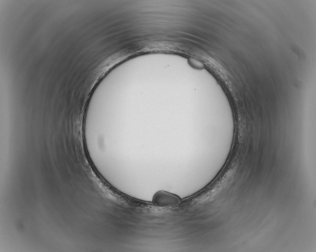 X0000111381041200908071231