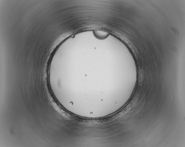 X0000111381042200908071231