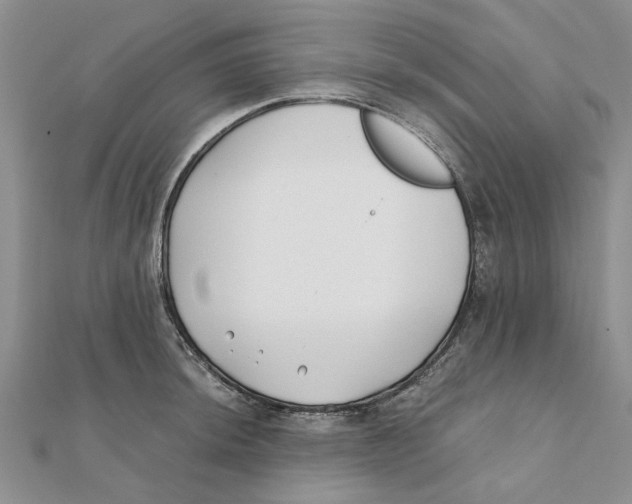 X0000111381044200908071231