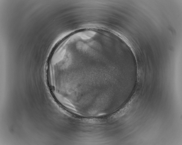 X0000111381045200908071231