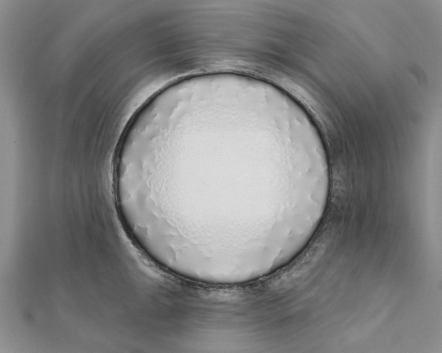 X0000111381047200908071231