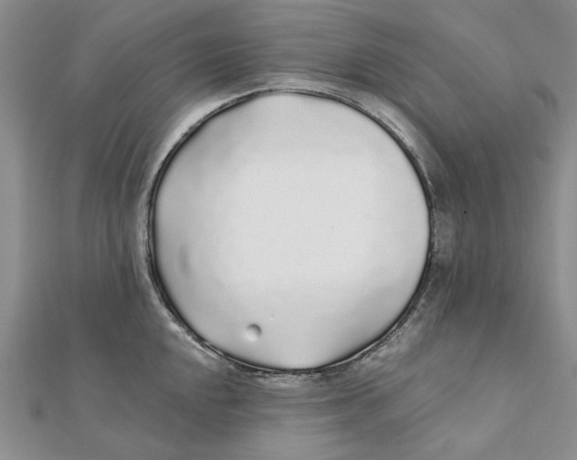 X0000111381048200908071231