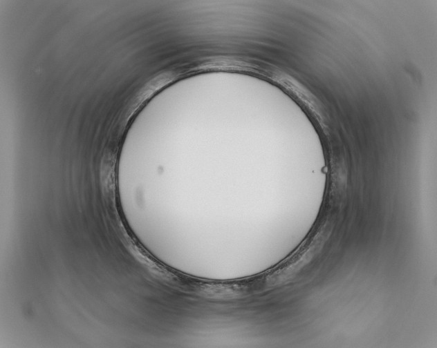 X0000111381049200908071231