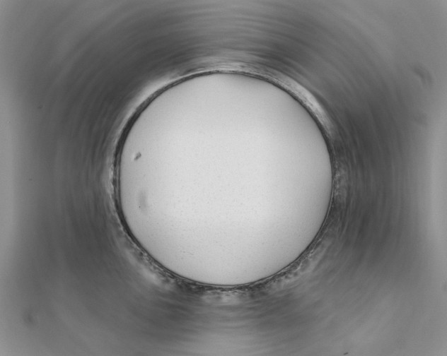 X0000111381051200908071231